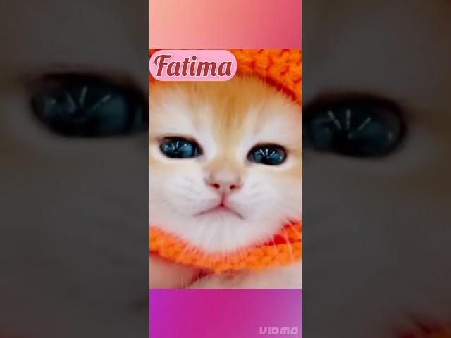 Fatima ️ #comedy  #namechallenge#viral  #funny #Khan videos