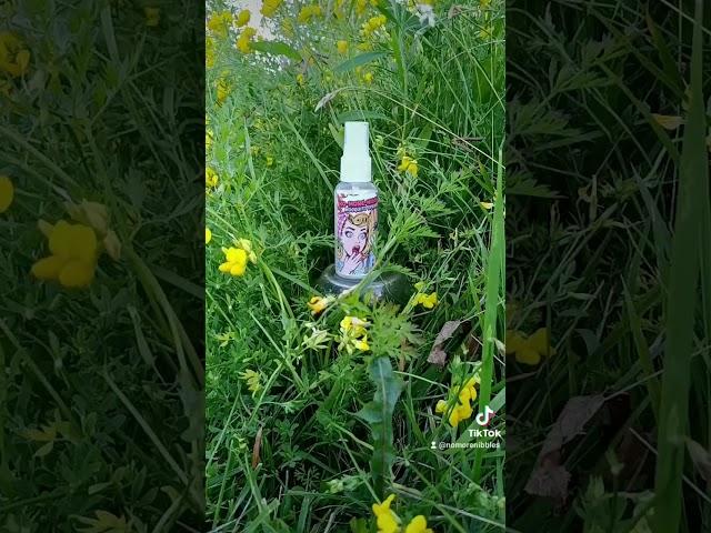 www.no-more-nibbles.com #bugspray #ecofriendly #nature #family #petsafety #camping #mosquitocontrol