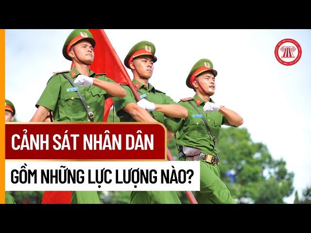 Cảnh Sát Nhân Dân Gồm Những Lực Lượng Nào? | THƯ VIỆN PHÁP LUẬT