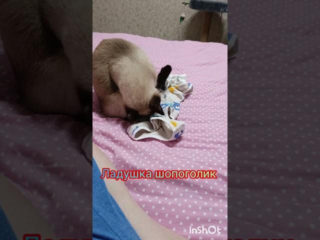 Ладушка шопоголик