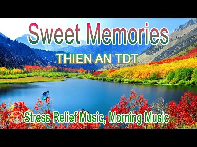 SWEET MEMORIES - THIEN AN TDT  Morning Music, Stress Relief Music