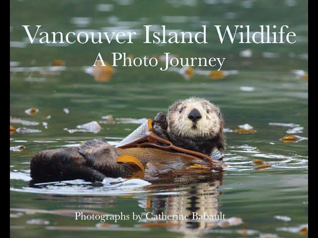 Photo Book: ''Vancouver Island Wildlife, a Photo Journey'' by Catherine Babault