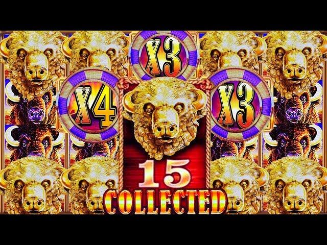 BIGGEST WIN on YOUTUBE  15 GOLD HEADS  159 GAMES  TRIPLE SUNSETS