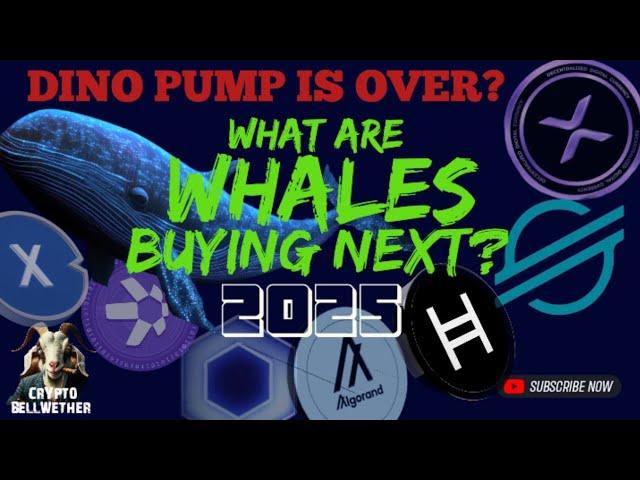 WHALE MONEY FLOW IS SHIFTING -The Dino Coin PUMP is over?  - XRP, XLM, HBAR, LINK etc. What's next?