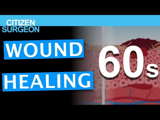 Wound Healing in 60 Seconds #shorts