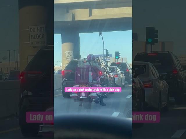 A pink Lady on a Pink motorcycle with a Pink Dog #motorcycle #shorts #losangeles