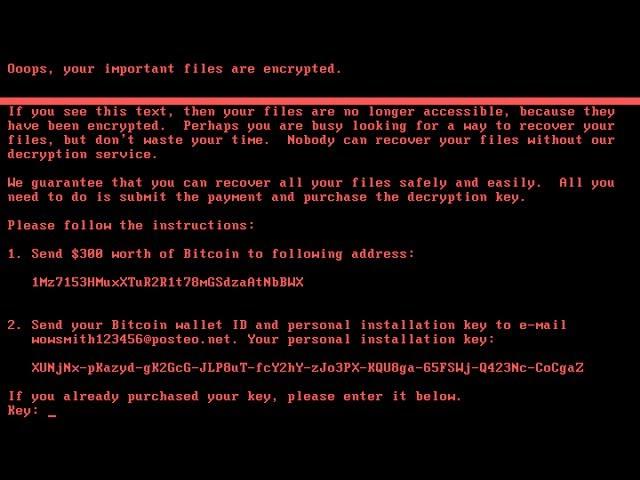 Malware Analysis - Getting Started with High-Level Petna / Petya