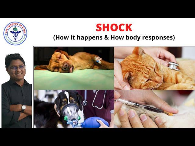 Shock | General Surgery | Lecture 04