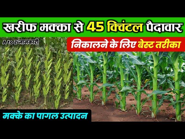 Makka ki kheti 2024 me | बरसाती मक्का की खेती | A to Z | kharif / Barsati Makka ki kheti kaise karen