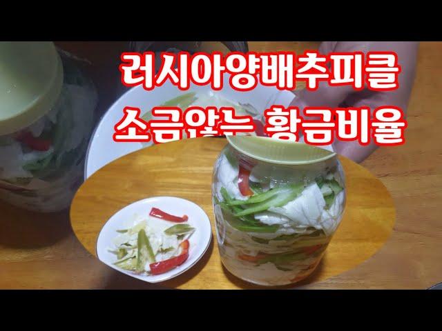 양배추피클/황금비율/소금않는/아삭아삭새콤달콤 위장에좋은 양배추피클[huaya화야금]