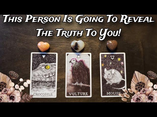  This Person Is Going To Reveal The Truth!   Pick A Card Love Reading What Do They Have To Say?