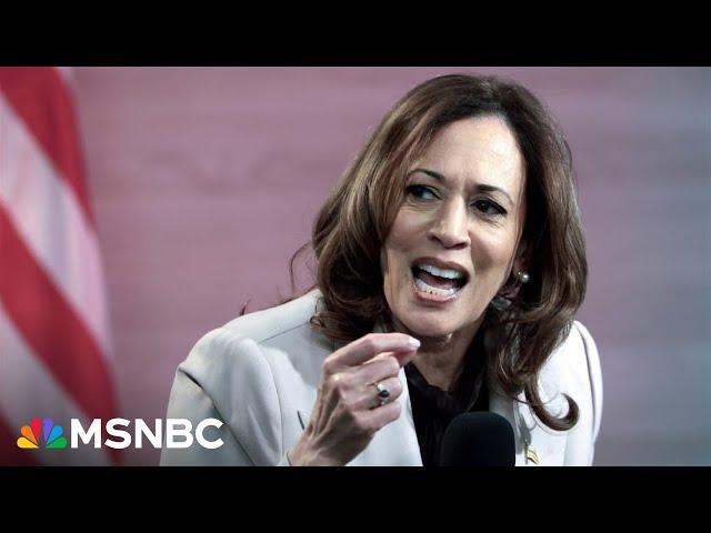 ‘It’s Harris’s race to lose’: Fmr. Bush advisor says Harris has positive signs under the radar