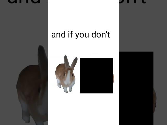 pls don't let this flop #slay #funny #bunny #rabbit #fyp #flop #flopera #meme #dance #rabbits