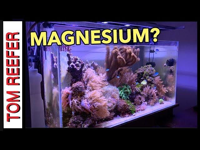 Reef Tank ( HOW IMPORTANT IS MAGNESIUM? ) And Other Great Stuff!