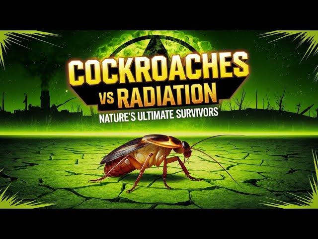 "Cockroaches vs Radiation: Nature’s Ultimate Survivors"