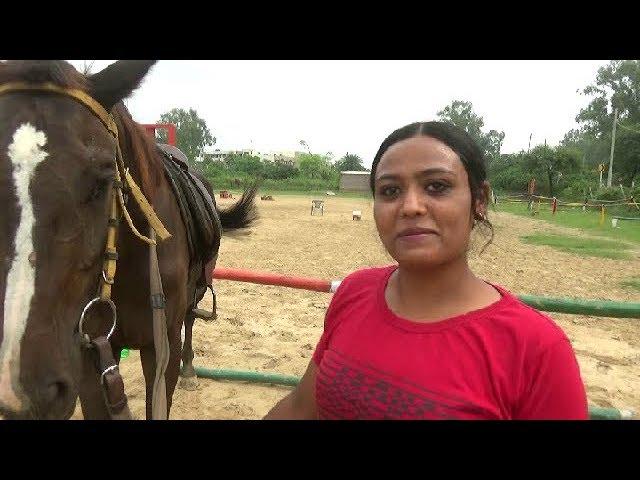 Cheema Horse Riding Training Club School  घुड़सवारी सींखे Horse Video घोड़ा विडियो