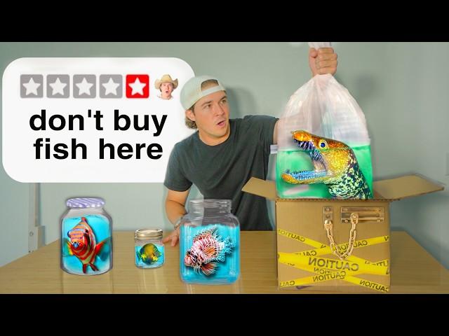 Buying Live Fish From The Worst Rated Websites