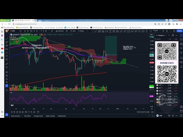 Nhận định cổ phiếu T+ ngày 12/12/2024  | Trading Capital