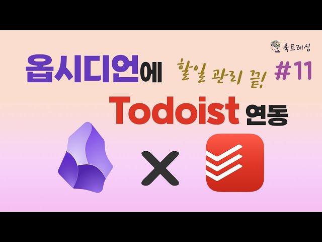 Todoist x 옵시디언 연동해서 할 일 관리 하기, 생산성 증가 투두이스트