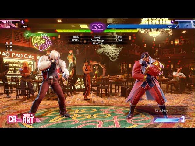 Street Fighter 6 : Terry 5xPower Charge in one Combo