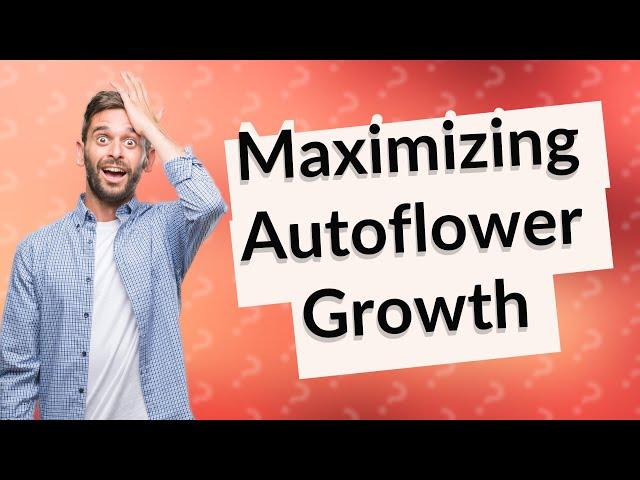 How Can I Successfully Grow Organic Autoflowers? Episode 2 Insights