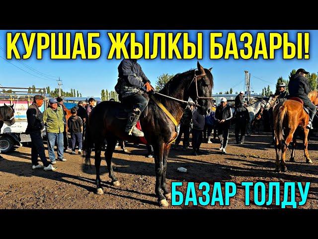 ЖЫЛКЫ БЭЭ БАЙТАЛ ТАЙ БААЛАРЫ  #байтв