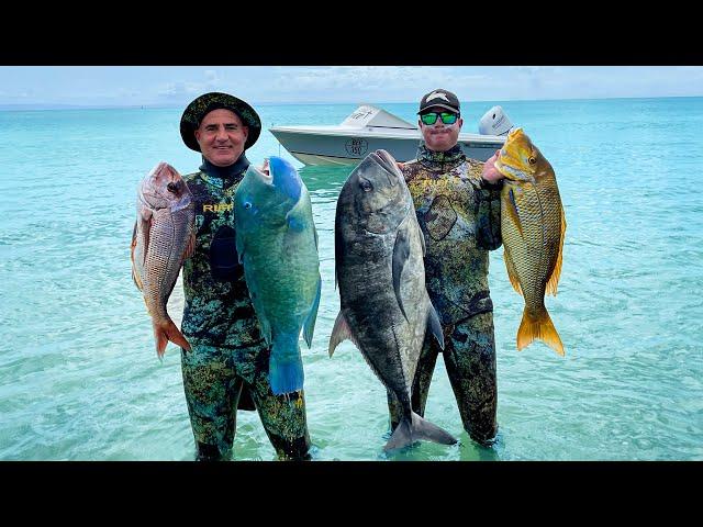 Dream Spearfishing In Crazy Weather!