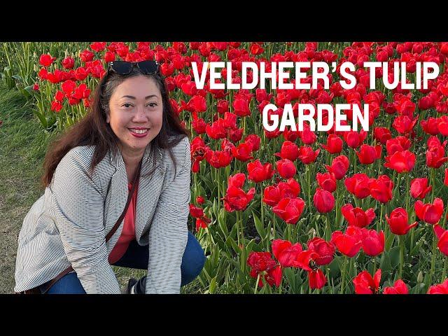 6 Million Tulips! - Veldheer's Tulip Garden Come Along With Us As We Explore