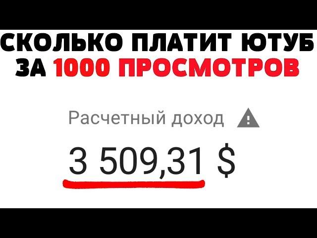 Сколько платит Ютуб за 1000 просмотров