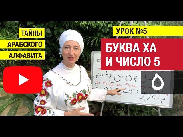 Тайны арабского алфавита. Урок 5. Буква Ха ه Нумерология букв #арабскийязык #арабскийалфавит #арабы