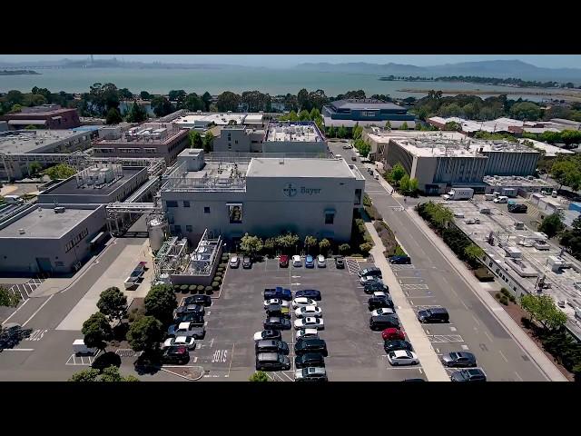 Visitor Site Safety Video: Bayer Berkeley