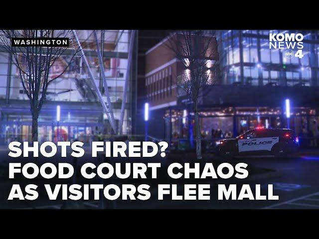 Food court fight at Southcenter Mall causes shooting false alarm, chaos unfolds as shoppers escape