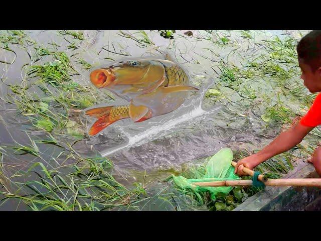 amazing net fishing technique | net fishing video | natural fishing video | fishing video 2022