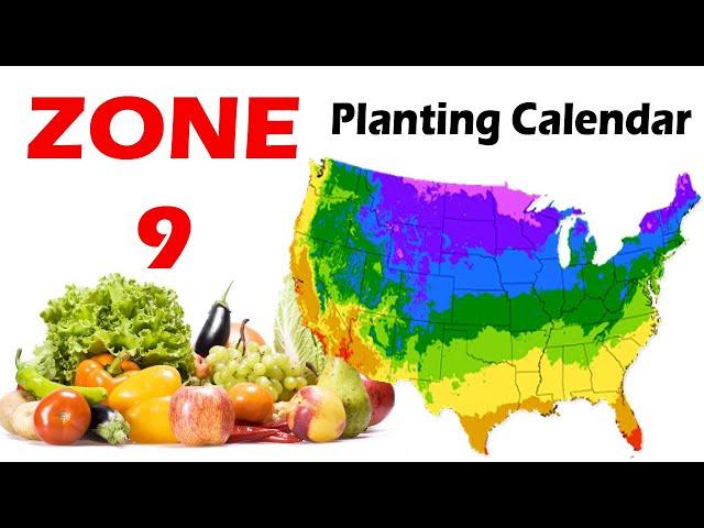 Zone 9 Planting Calendar | Guide to Successful Gardening in Zone 9