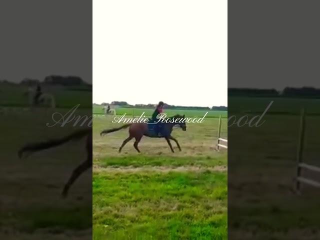 This video️️@allegekheidopeenpaard the quality