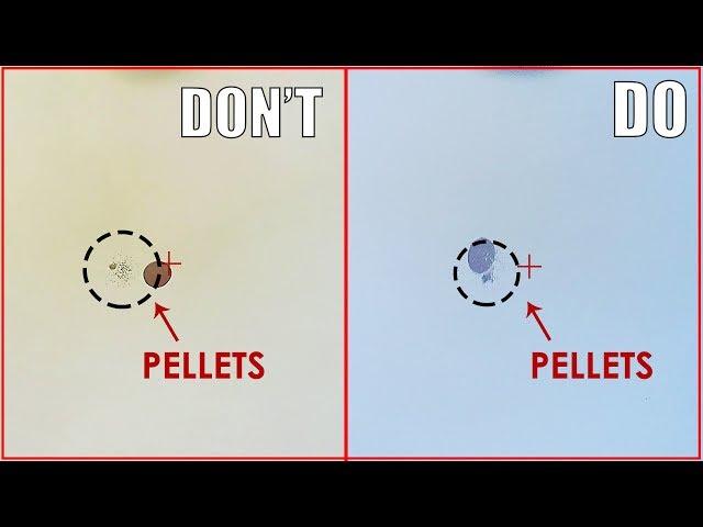 Shooting Mistake to Avoid - Do & Don't by ShotKam Camera