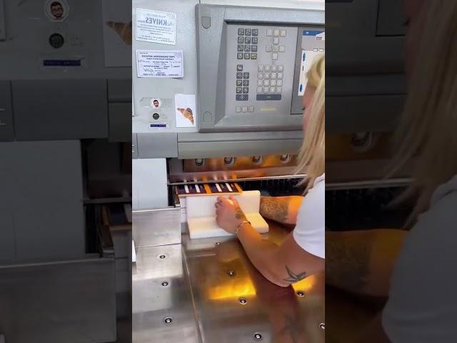 Efficient Paper Cutting Process in ForestPackage: Enhancing Sustainability and Productivity