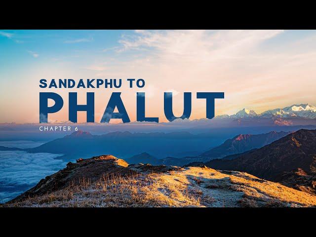 Discover the Spectacular Phalut | Sandakphu Phalut Trek | Sandakphu Phalut Tour