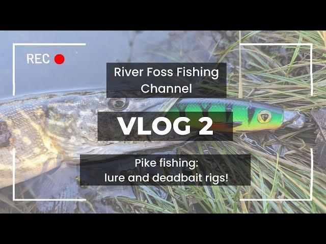 River Foss Fishing Vlog 2: Pike on lures and deadbaits #pike #pikefishing