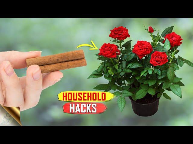 15 MAGICAL HOUSEHOLD GARDEN HACKS | GARDENING TRICKS & TIPS