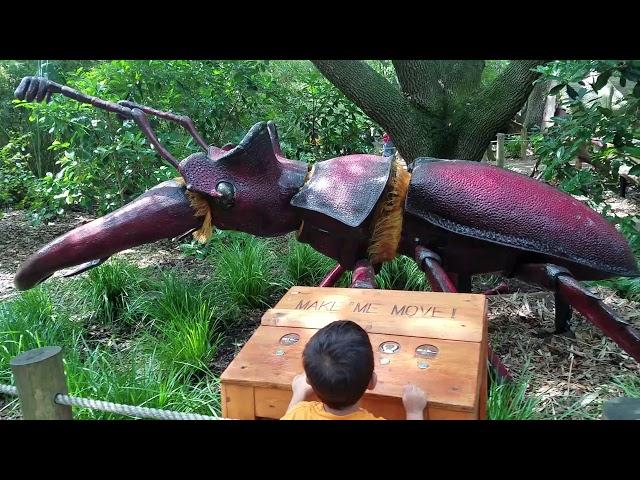 Big bugs at the HOUSTON Zoo!