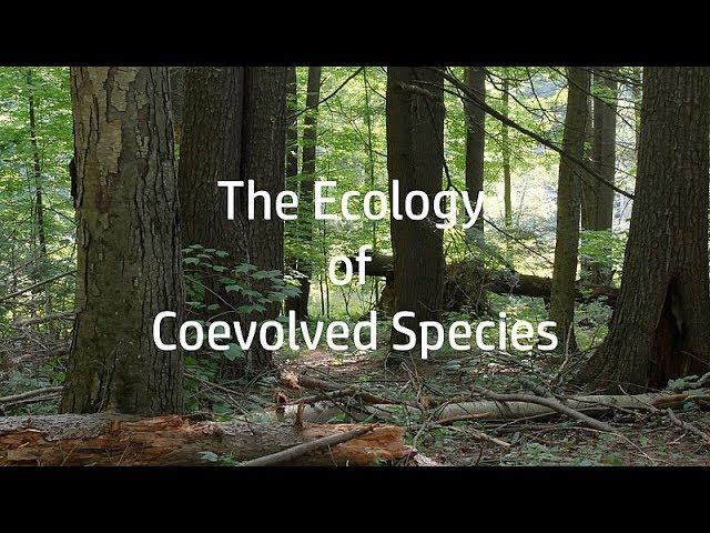 Tom Wessels: The Ecology of Coevolved Species