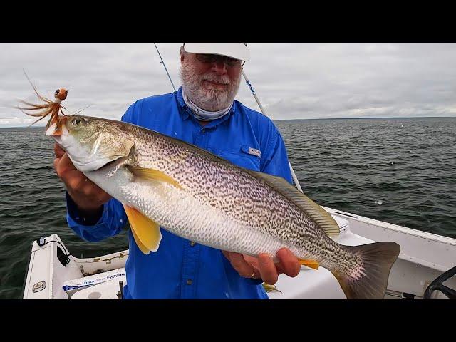 1 Lure, 1 Spot, Slammer Fishing - Stripers, Weakfish, Bluefish, Fluke!