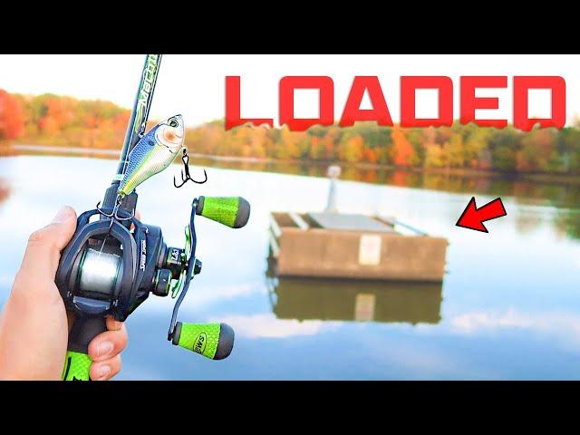 This SMALL Lake is LOADED w/ GIANT Bass! (Spring Fishing)