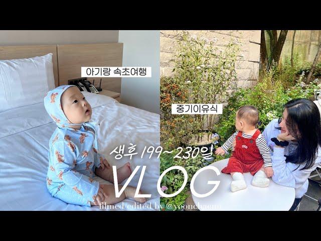 vlog | 가을 타는 아기••(중기 이유식, 200일 촬영, 아기랑 속초여행, 지루한 평일 보내는 법)