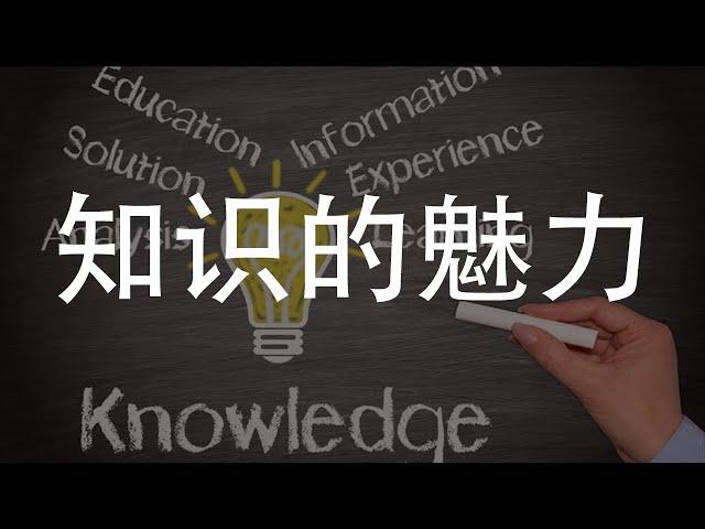 知识的魅力：如何积极学习新知识？