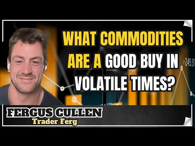 Gold, Silver, Uranium, Copper, Coal, Offshore, Commodities - Trader Ferg