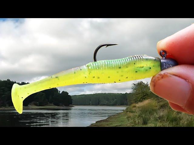 SOFT PLASTICS FISHING FOR BEGINNERS