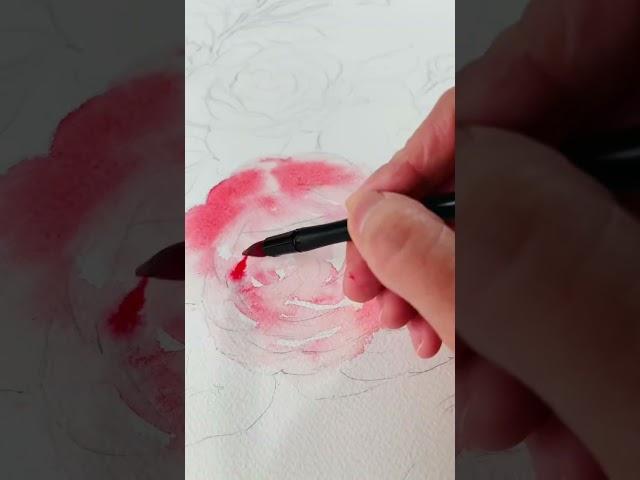 My brush is dancing in the watercolours! #art #watercolor #painting #drawing #rose