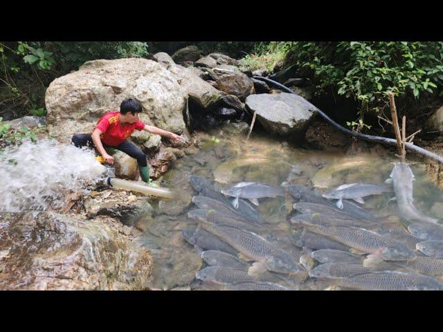 Fishing techniques, Catching fish with a pump, Boy Lam catches many fish in the wild.